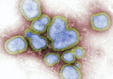 qué es el coronavirus foto unsplash