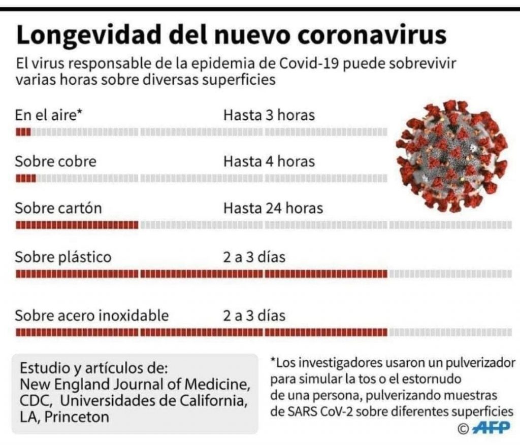 Supervivencia del coronavirus Foto AFP
