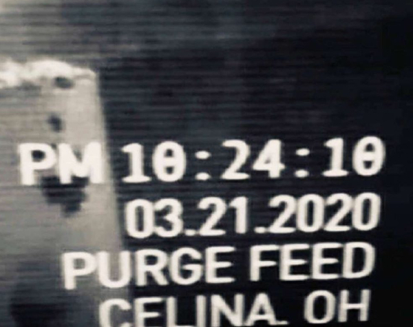 El día de The Purge es hoy - Foto The Purge