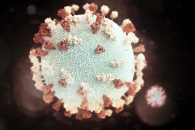 qué son los coronavirus Foto cdc-unsplash
