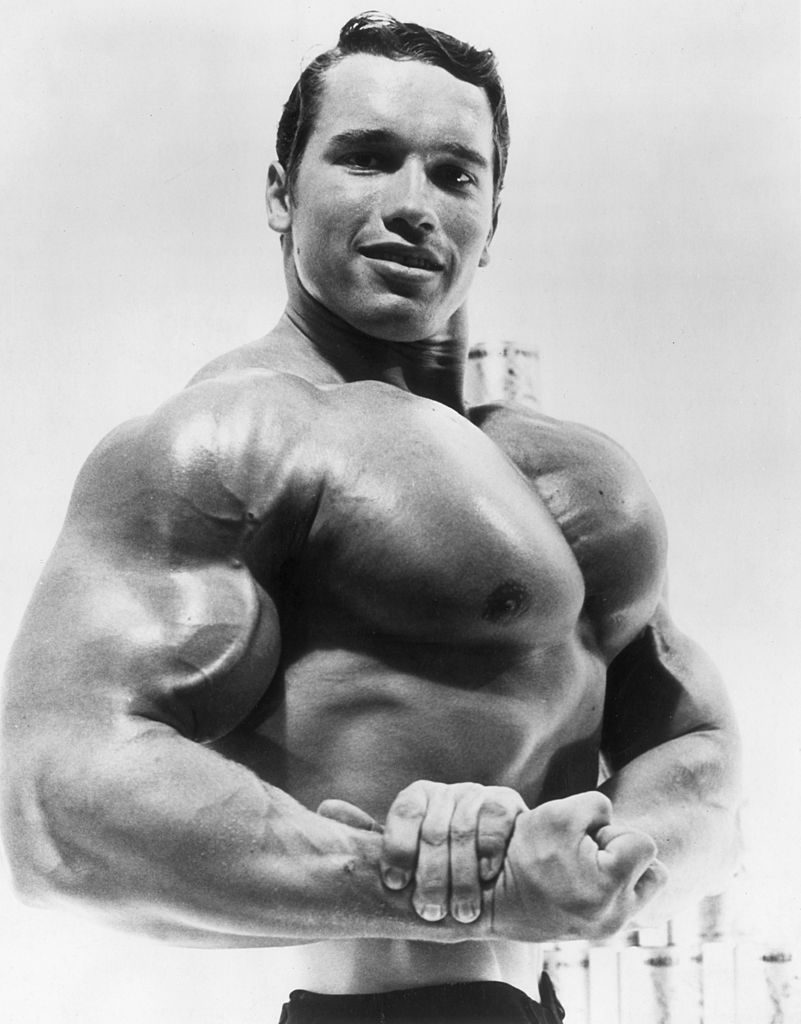 Arnold Schwarzenegger frases Terminator