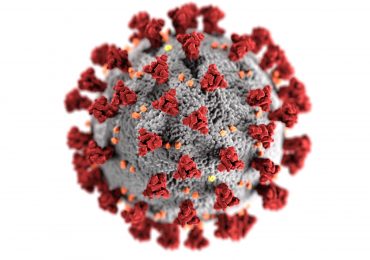 coronavirus erección covid19 pandemia CDC