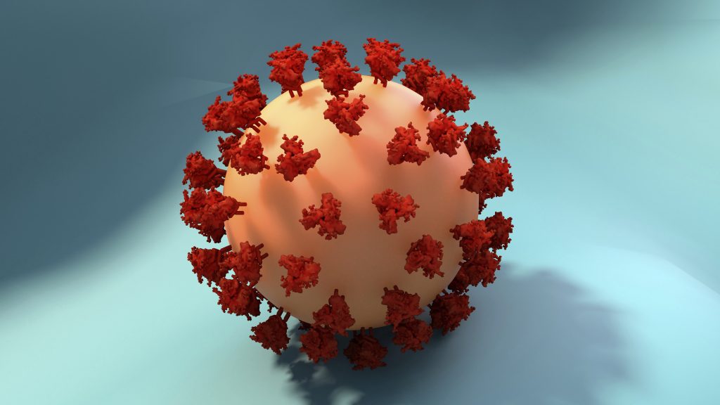 reinfección coronavirus holanda