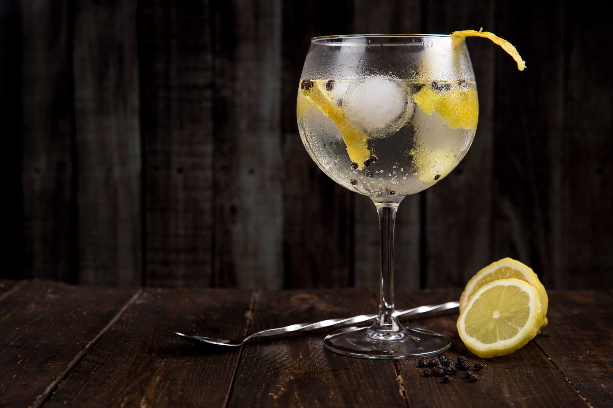 bebida gin