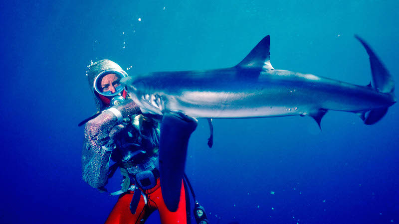 Películas Festival Sundance 2021 PLaying with sharks