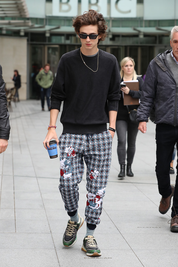 timothée chalamet looks knit