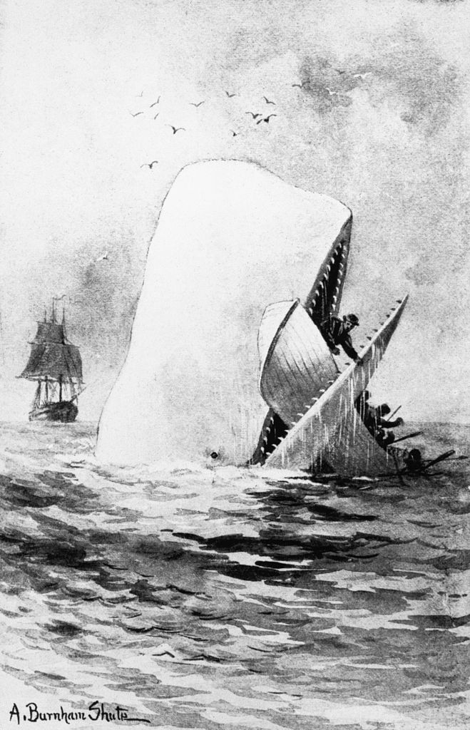 Ilustración de 'Moby Dick' de Herman Melville