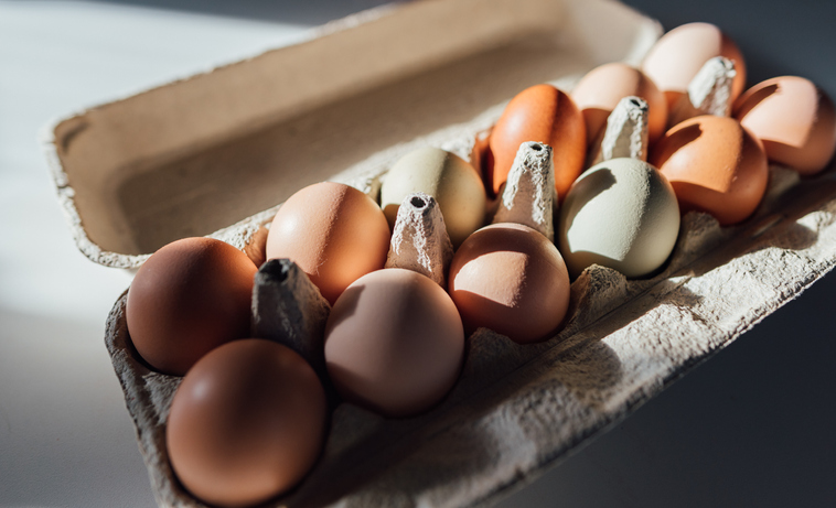 valor nutrimental del huevo