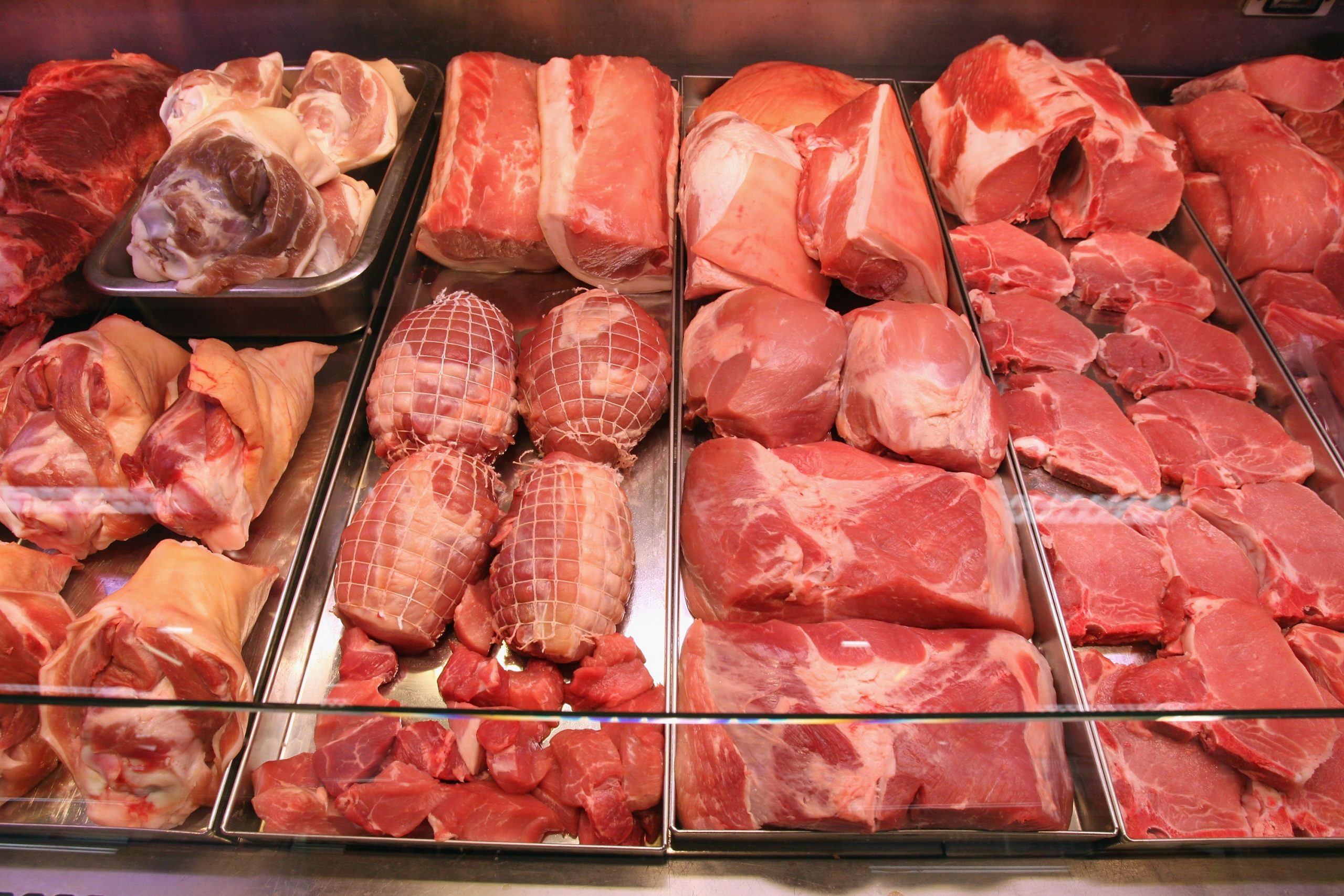 Sin carne