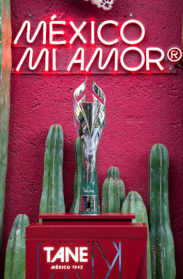 Trofeo Gran Premio Ciudad de México